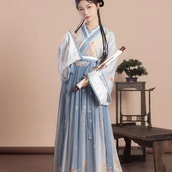 Kitajski Slog Ženske Elegantne Hanfu Obleke Starodavnih Tradicionalnih Weijin Dinastije Ples Fazi Stranka Kostume Cvjetnim Tiskanja Pravljice Določa