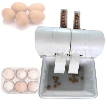 220V Večfunkcijsko Sveže Jajce Čiščenje Pralnega Stroja Umazano Raca Jajce Pranje