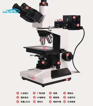 Jiangxi Fenghuang Mikroskopom Strokovno Pokonci Reflektivni Metallographic Mikroskop